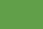 RAL 6018 (Жёлто-зеленый)