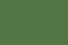 RAL 6010 (Трав'яний зелений) 