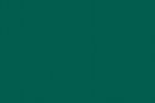 RAL 6036 (Перламутрово-опаловый зеленый) 